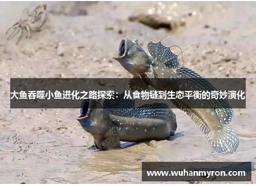 大鱼吞噬小鱼进化之路探索：从食物链到生态平衡的奇妙演化