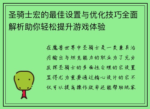 圣骑士宏的最佳设置与优化技巧全面解析助你轻松提升游戏体验